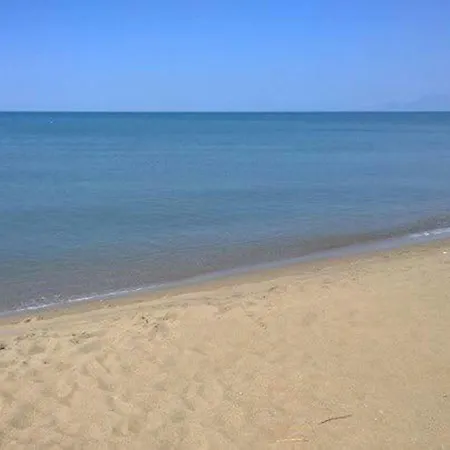 Passarelli