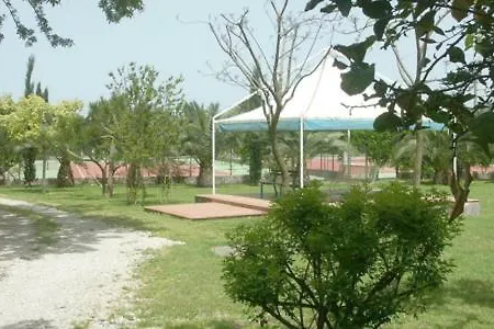 Passarelli